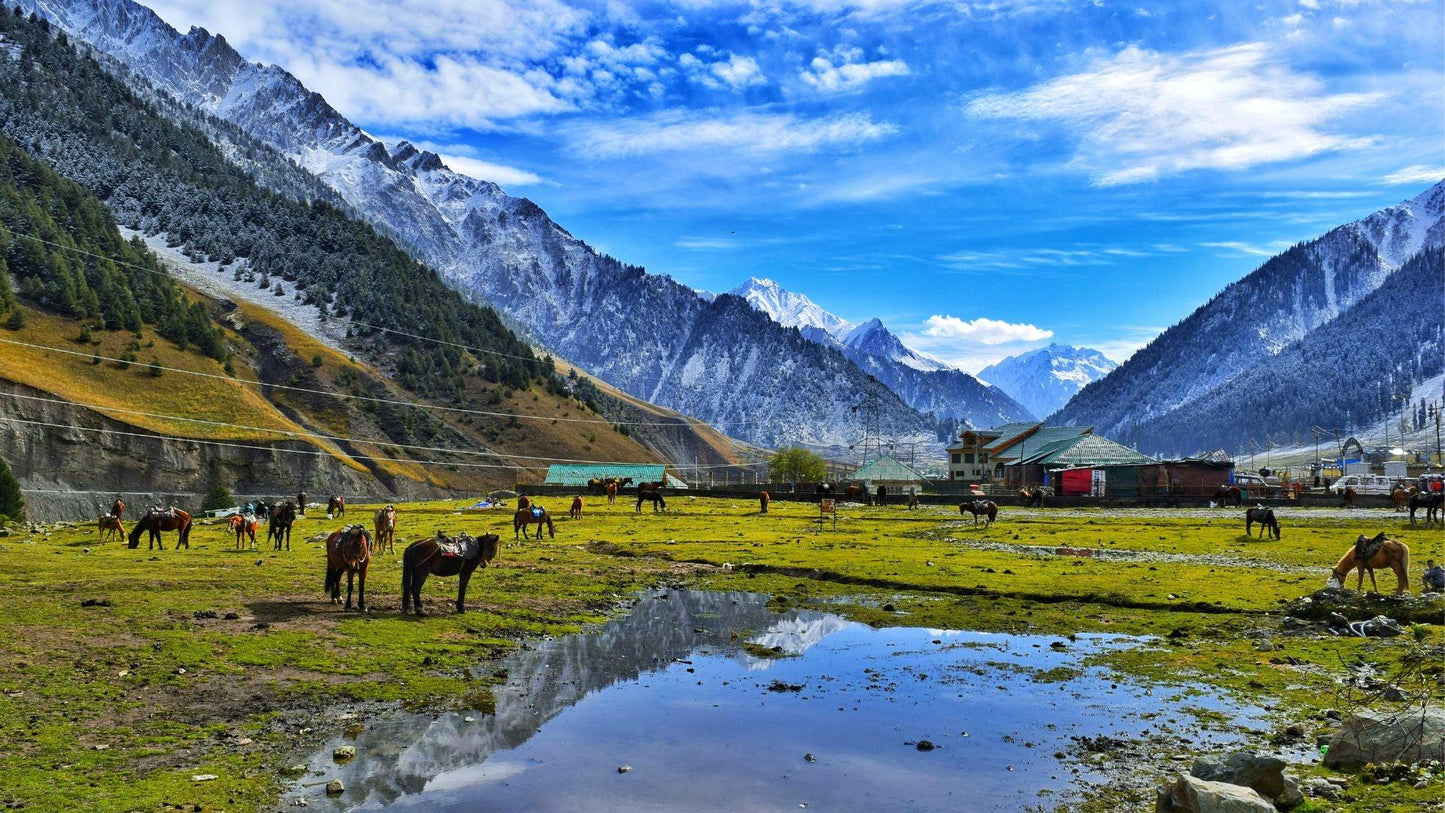 KASHMIR PARADISE EXPEDITION 5 NIGHTS & 6 DAYS
