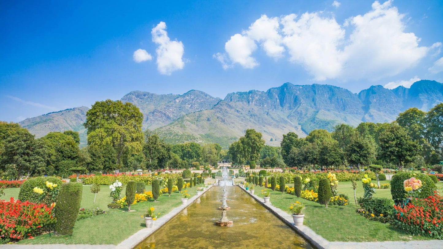 KASHMIR ODYSSEY 3 NIGHTS & 4 DAYS