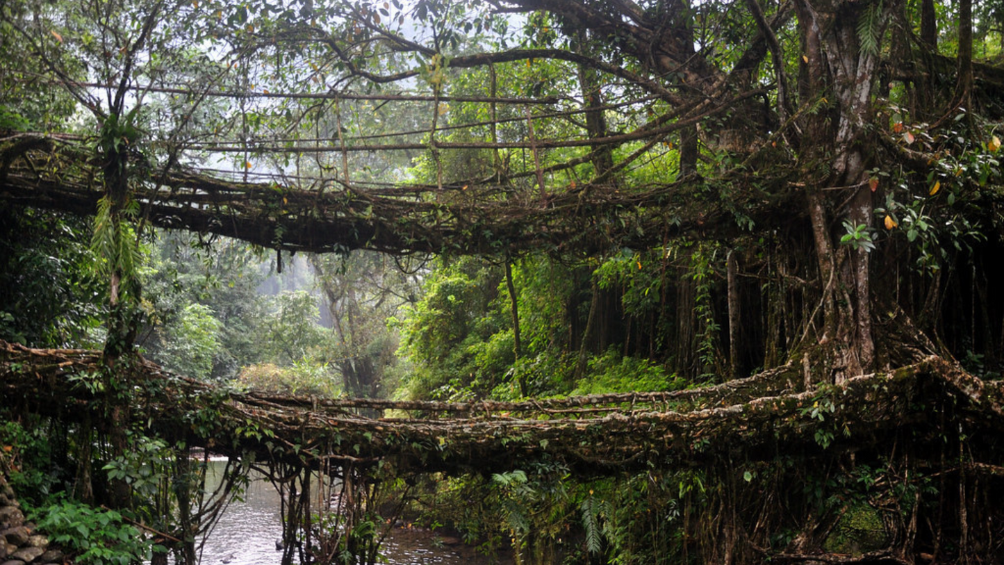 "MEGHALAYA : THE ABODE OF CLOUDS UNVEILED 5 NIGHTS & 6 DAYS