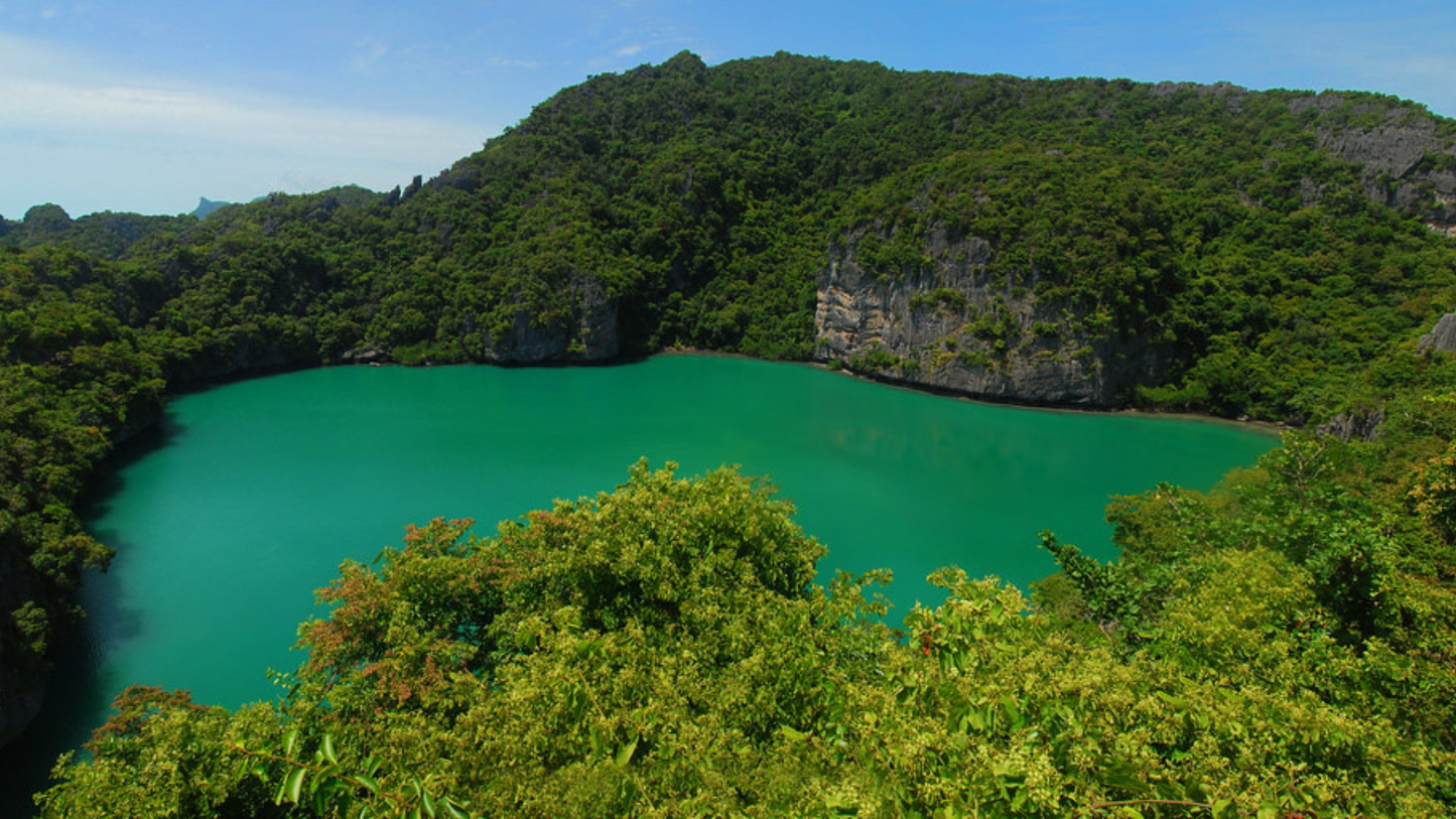 SAMUI & KOH TAO DIVING & SNORKELING ADVENTURE (5N/6D)