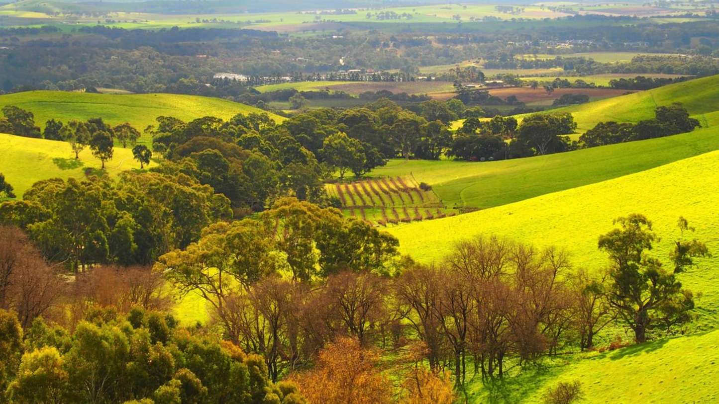 BAROSSA VALLEY & ADELAIDE WINE TOUR ( 03 NIGHTS & 04 DAYS)