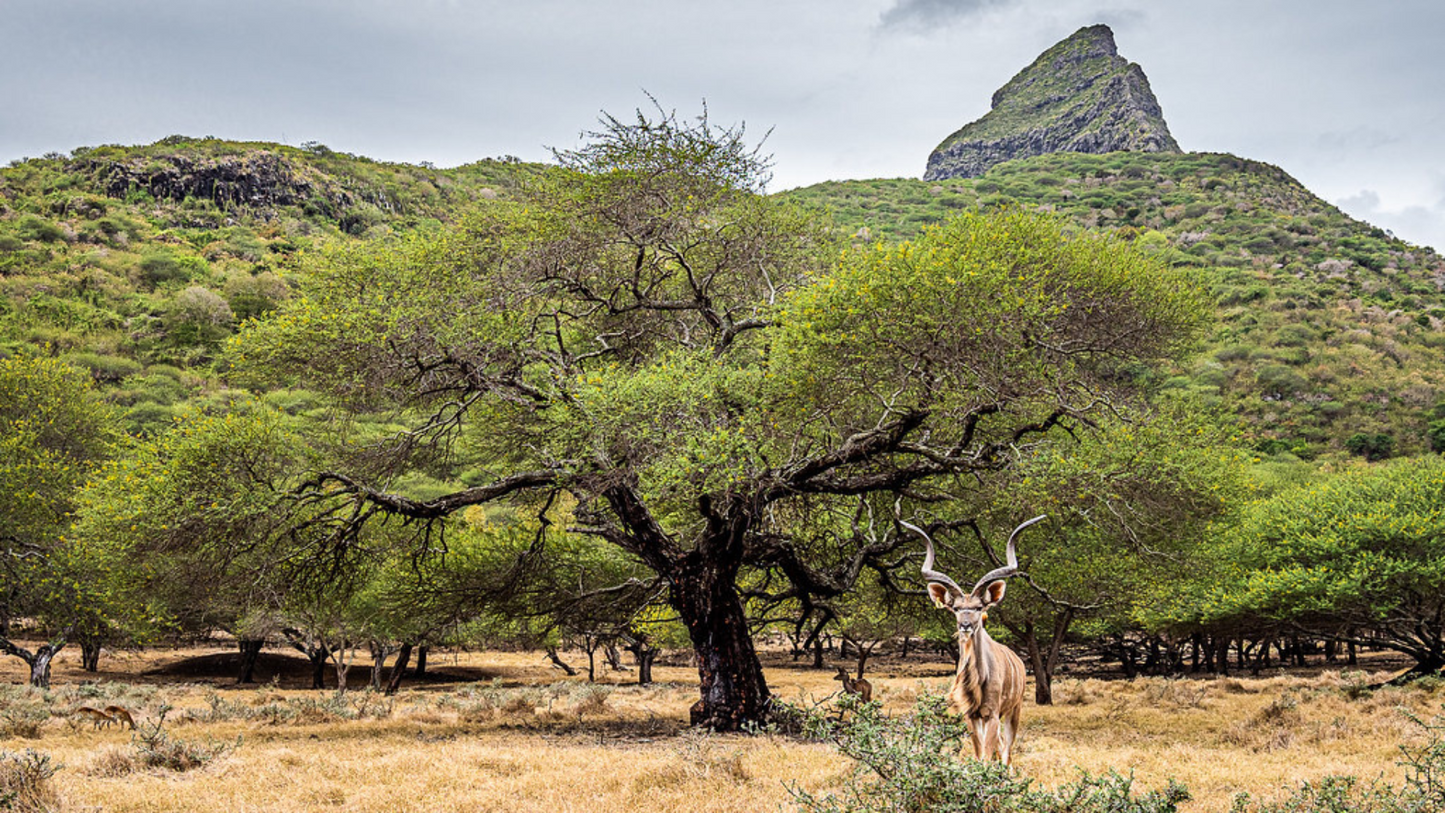 SCENIC ROAD TRIP ACROSS MAURITIUS (6N/7D)