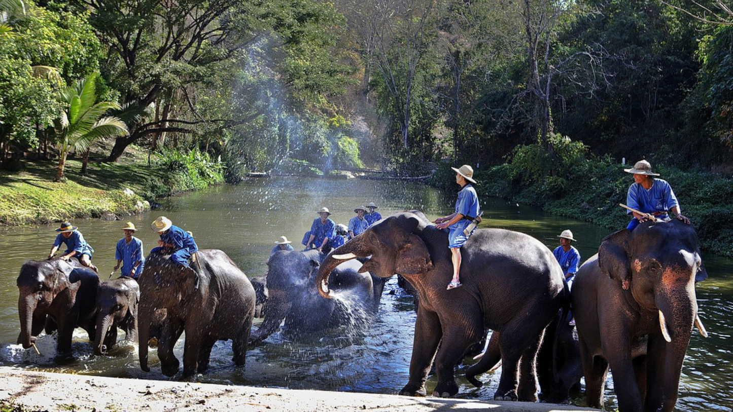 THAILAND WILDLIFE & JUNGLE ADVENTURE (5N/6D)