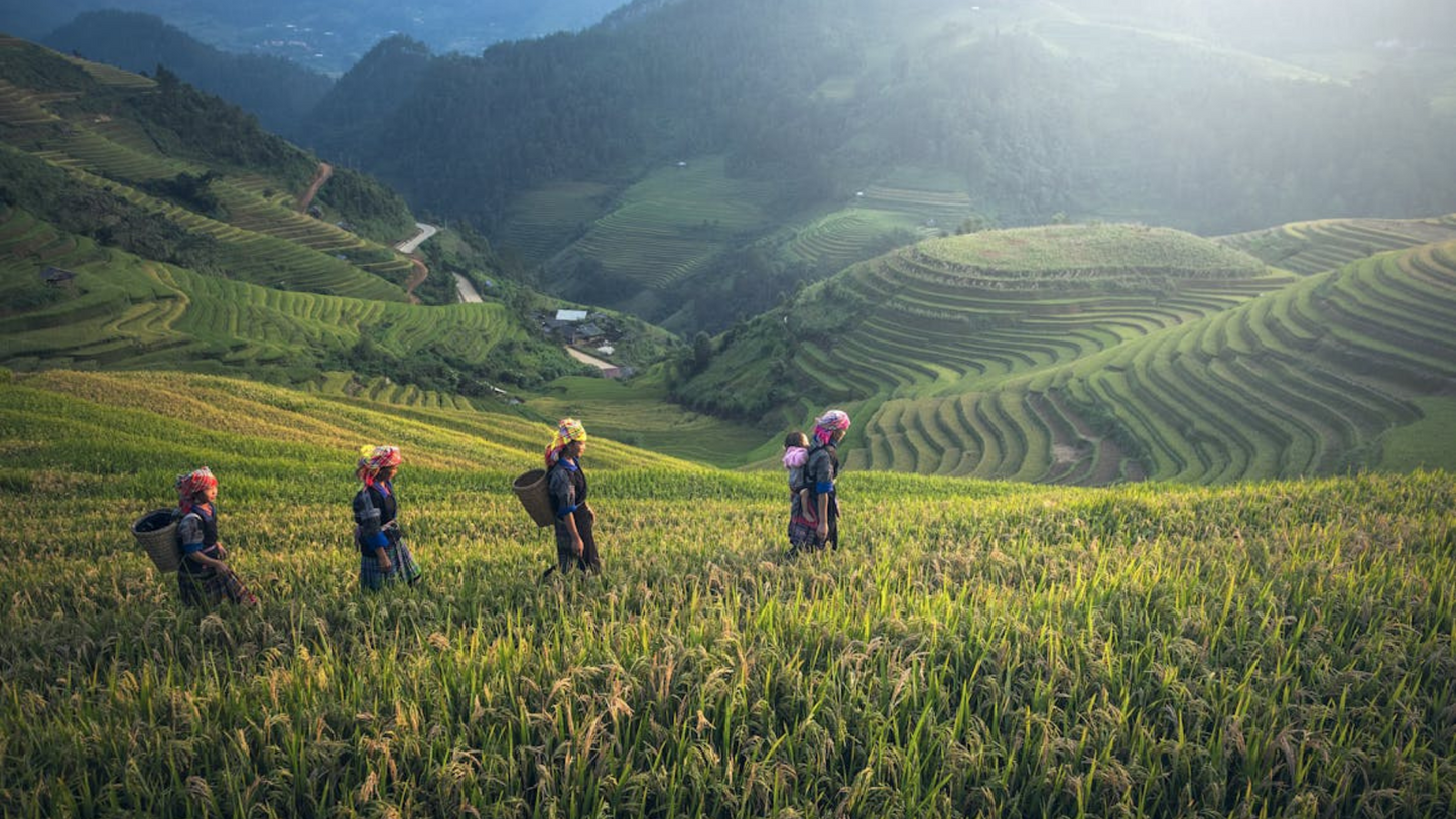 VIETNAM PHOTOGRAPHY EXPEDITION (5N/6D)