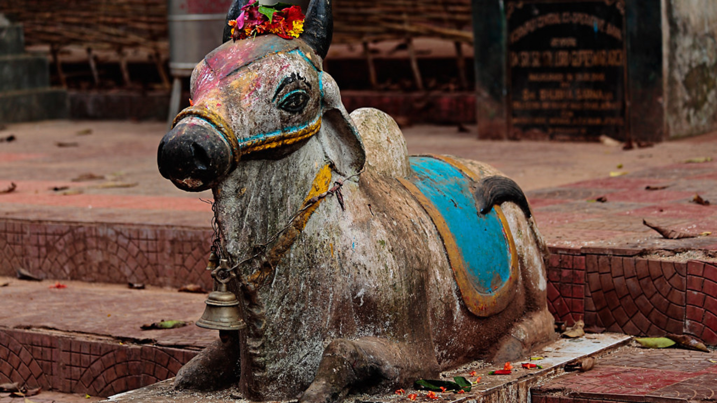 KORAPUT TRIBAL CULTURE & NATURE TRAIL 3 NIGHTS & 4 DAYS