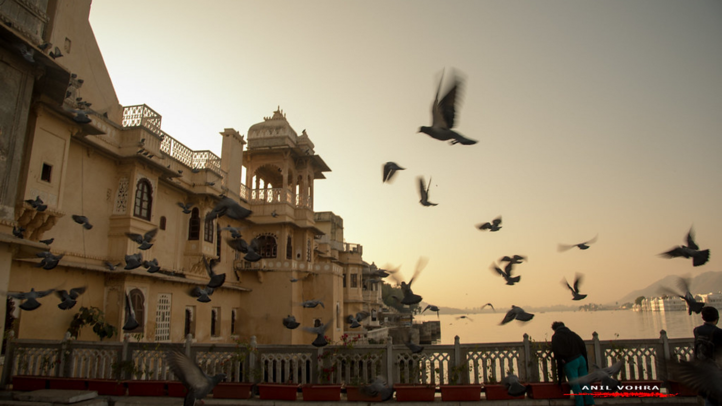 "UDAIPUR UNVEILED: A ROYAL ESCAPED VIETNAM 3N/4D