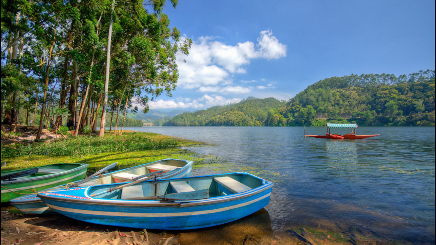 A PERFECT COASTAL ESCAPE NORTH GOA 3 NIGHTS & 4 DAYS TOUR