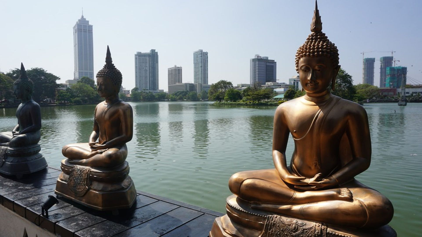 SRILANKA TOURS 03 nights & 04 DAYS