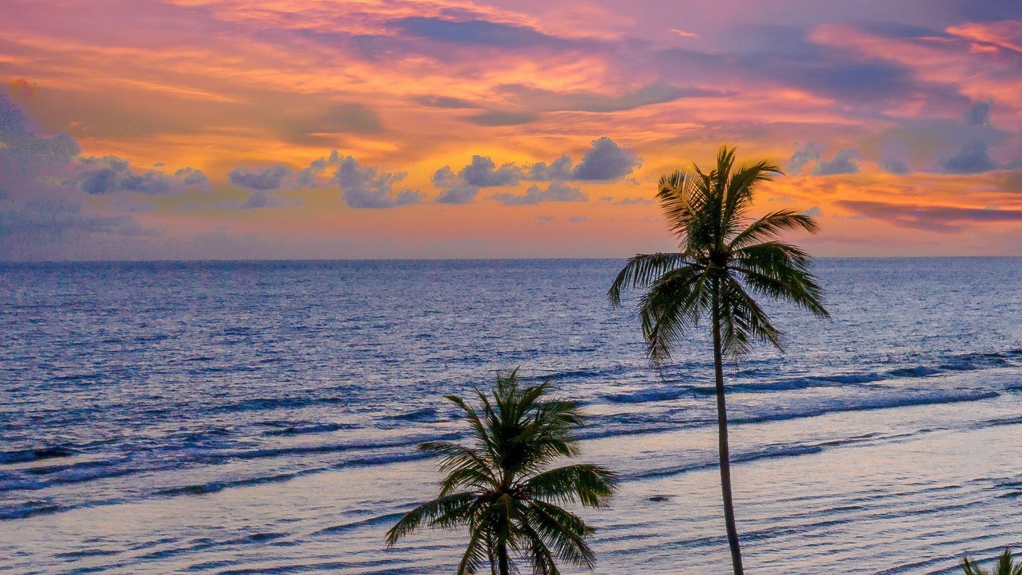 COASTAL BLISS GOA PACKAGE 5 NIGHTS & 6 DAYS