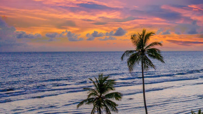 COASTAL BLISS GOA PACKAGE 5 NIGHTS & 6 DAYS