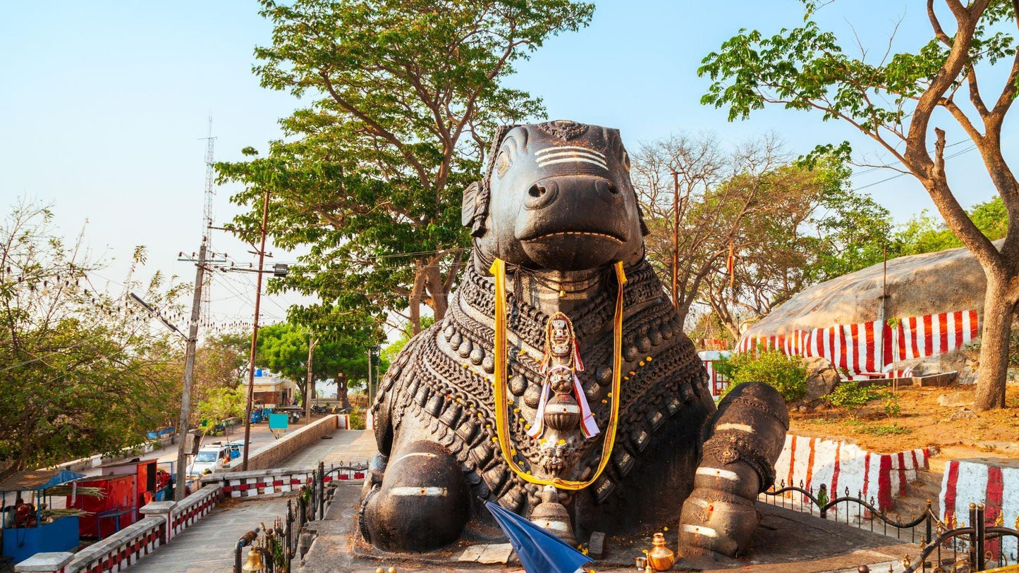 SCENIC COORG & MYSORE PACKAGE 2 NIGHTS & 3 DAYS