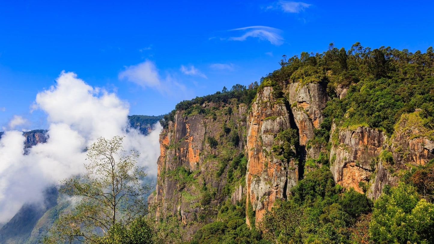 TAMIL NADU TREASURES EXPEDITION 10 NIGHTS & 11 DAYS