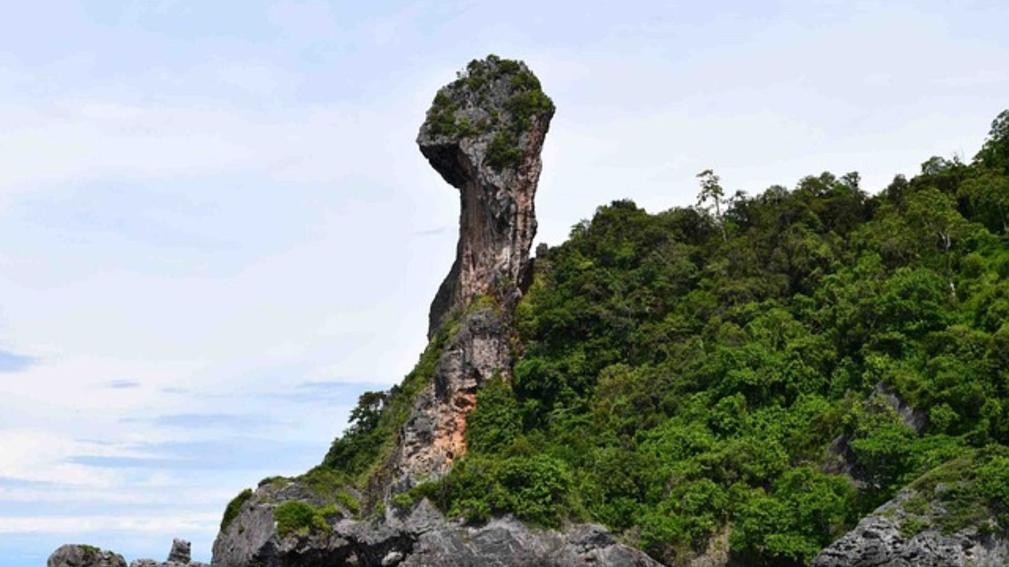 Adventurous Vacation in Phuket 5Days / 4Nights