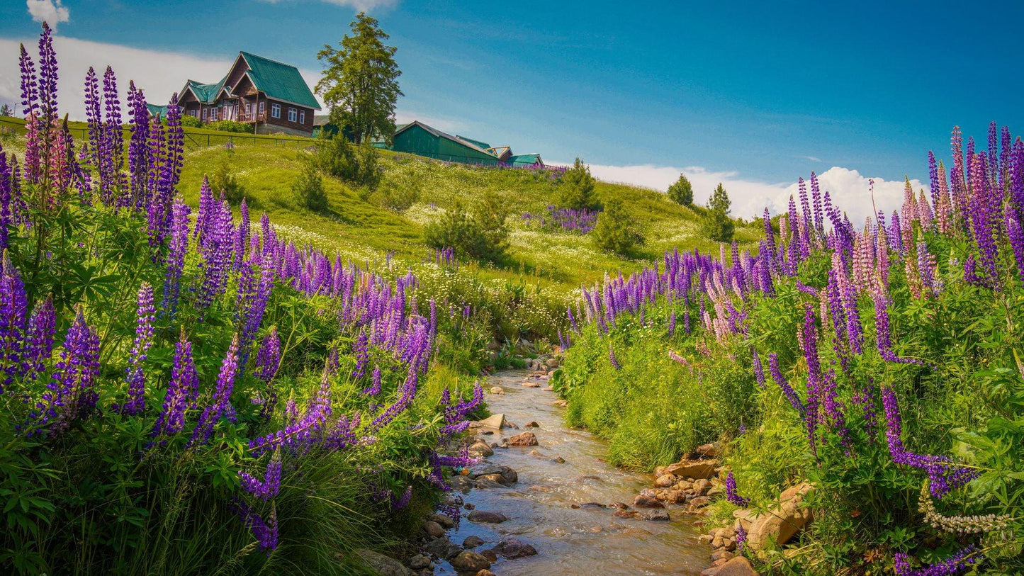 JOURNEY THROUGH PARADISE 4 NIGHTS & 5 DAYS