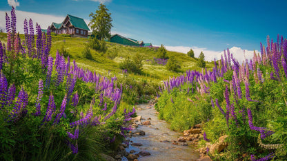 JOURNEY THROUGH PARADISE 4 NIGHTS & 5 DAYS