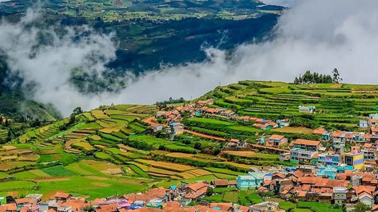 EXPLORE OOTY 2 NIGHTS & 3 DAYS