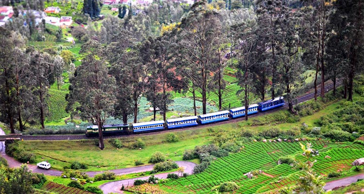 EXPLORE OOTY 2 NIGHTS & 3 DAYS