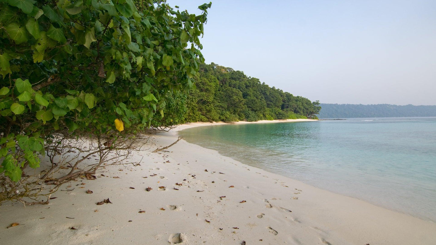 ANDAMAN PARADISE RETREAT PACKAGE