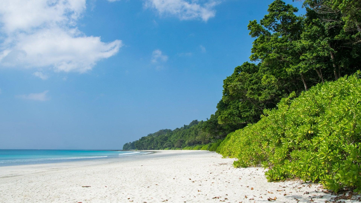 ANDAMAN ODYSSEY PACKAGE