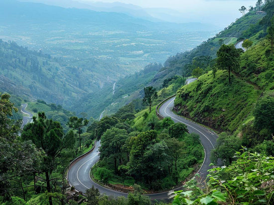 YERCAUD  2 NIGHTS & 3 DAYS TOUR