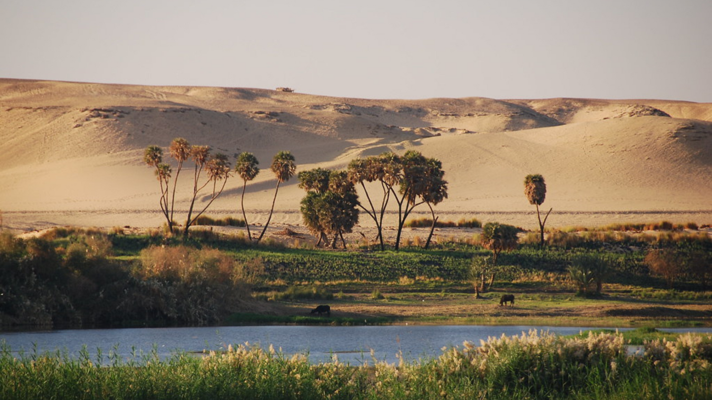 EGYPT WELLNESS & RETREAT TOUR (05 NIGHTS/06 DAYS)