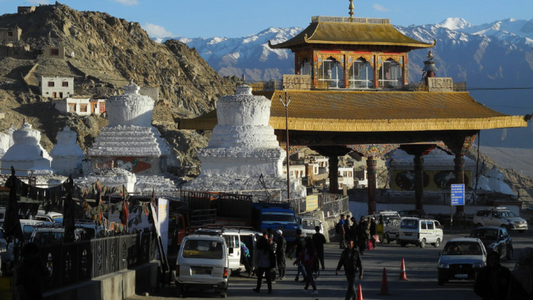 NUBRA VALLEY & PANGONG LAKE TOUR 5 NIGHTS & 6 DAYS