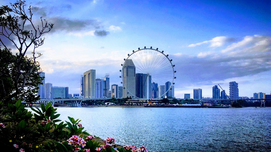 SINGAPORE GETAWAY | FREE NIGHT SAFARI ZOO VISIT 3N/4D