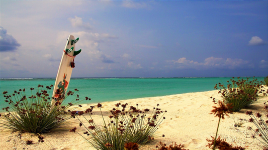 CORAL PARADISE GATEWAY 3 NIGHTS & 4 DAYS