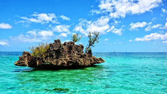 TROPICAL VACATION IN LAKSHADWEEP 2 NIGHTS & 3 DAYS