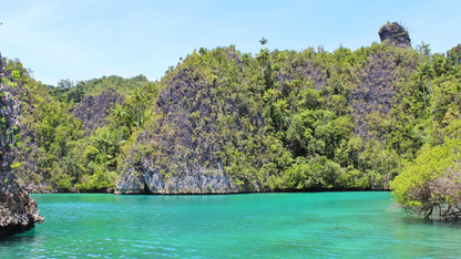 RAJA AMPAT DIVING & SNORKELING TOUR (6 NIGHTS & 7 DAYS )