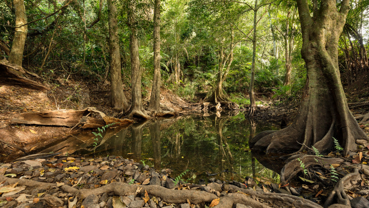 THAILAND WILDLIFE & JUNGLE ADVENTURE (5N/6D)