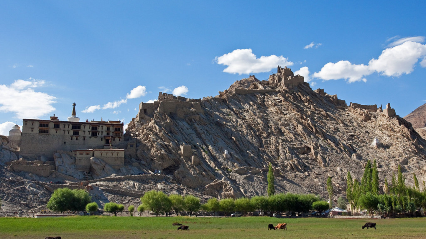 NUBRA VALLEY & PANGONG LAKE TOUR 5 NIGHTS & 6 DAYS