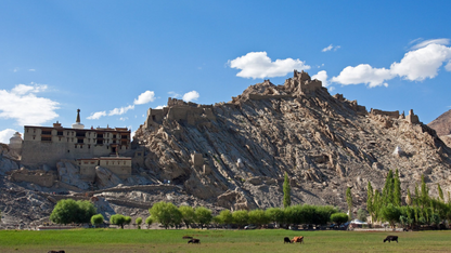 NUBRA VALLEY & PANGONG LAKE TOUR 5 NIGHTS & 6 DAYS
