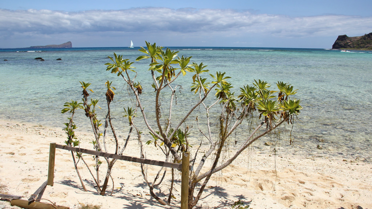 MAURITIUS CRUISE & ISLAND HOPPING (5N/6D)