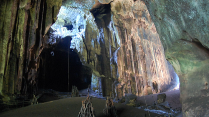 BORNEO WILDLIFE & NATURE ADVENTURE (4 NIGHTS & 5 DAYS ) – DISCOVER THE UNTAMED BEAUTY OF MALAYSIA