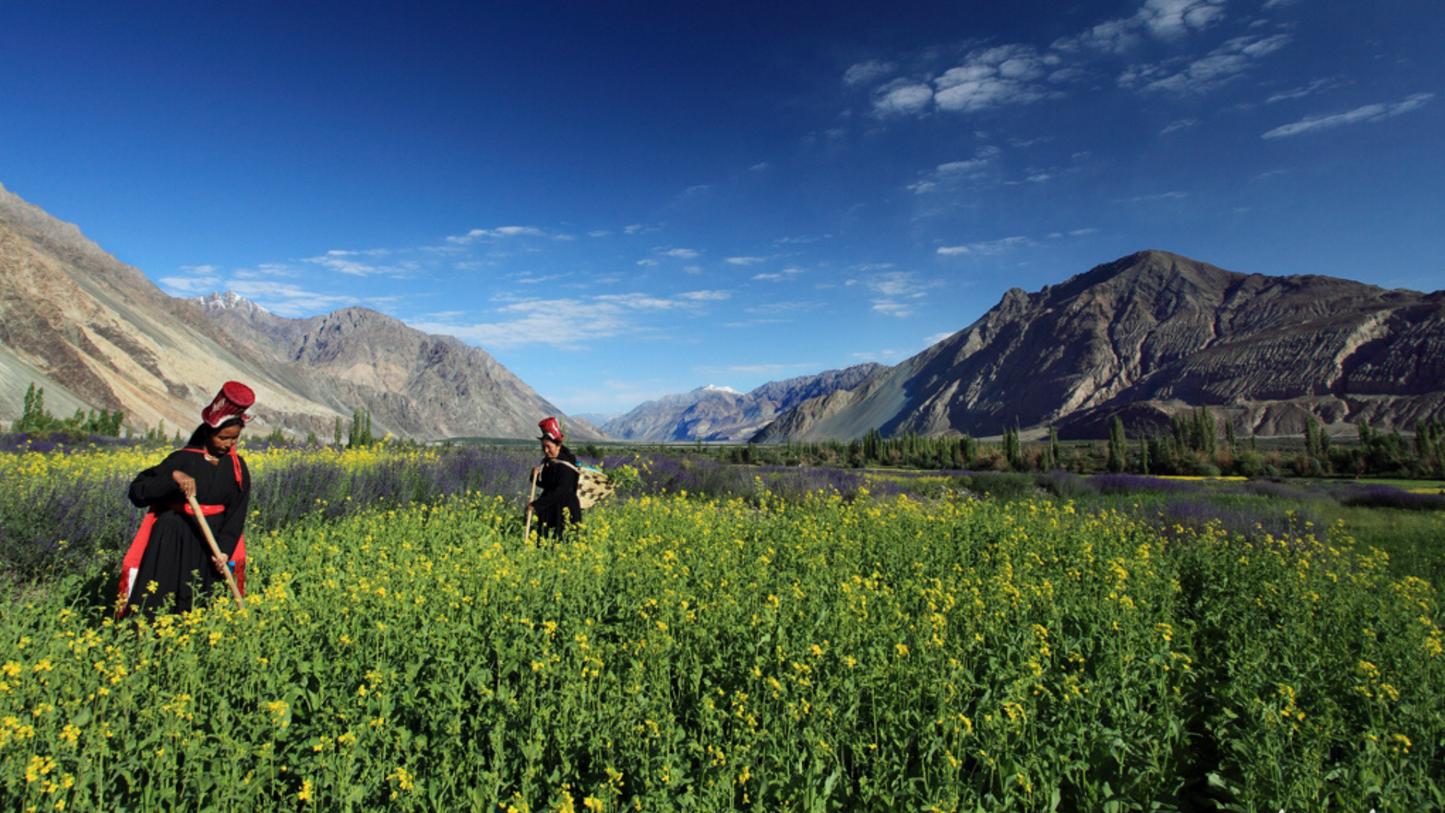 LADAKH PHOTOGRAPHY TOUR 6 NIGHTS & 7 DAYS