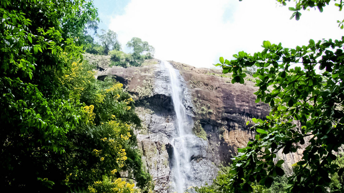 ELLA & NUWARA ELIYA HILL COUNTRY TOUR (4N/5D)