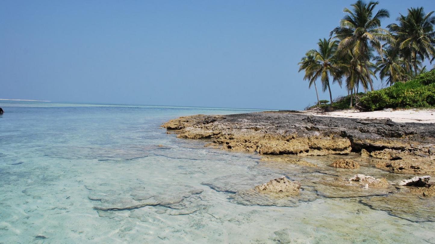 SCENIC LAKSHADWEEP CRUISE 4 NIGHTS & 5 DAYS