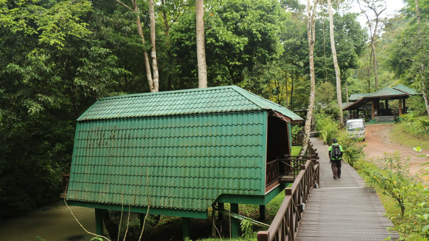 BORNEO WILDLIFE & NATURE ADVENTURE (4 NIGHTS & 5 DAYS ) – DISCOVER THE UNTAMED BEAUTY OF MALAYSIA