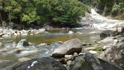 BORNEO WILDLIFE & NATURE ADVENTURE (4 NIGHTS & 5 DAYS ) – DISCOVER THE UNTAMED BEAUTY OF MALAYSIA