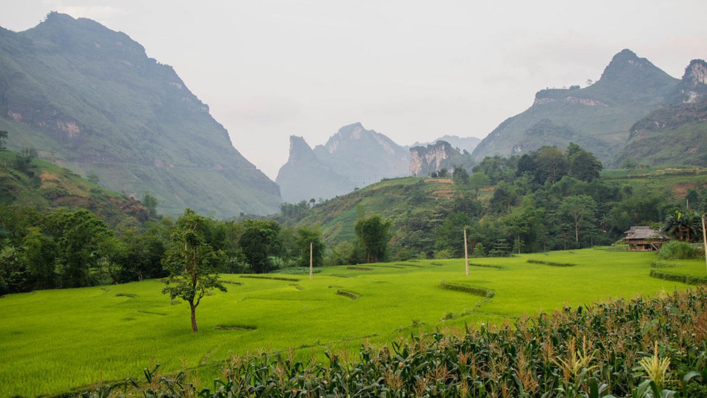 OFFBEAT VIETNAM: HA GIANG LOOP ADVENTURE (6N/7D)