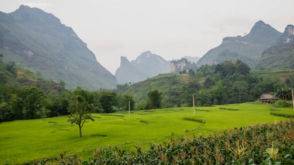 OFFBEAT VIETNAM: HA GIANG LOOP ADVENTURE (6N/7D)