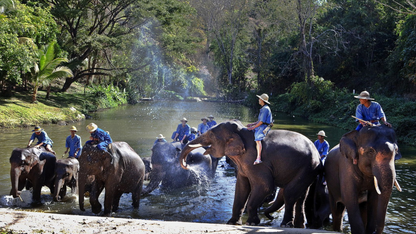 THAILAND WILDLIFE & JUNGLE ADVENTURE (5N/6D)