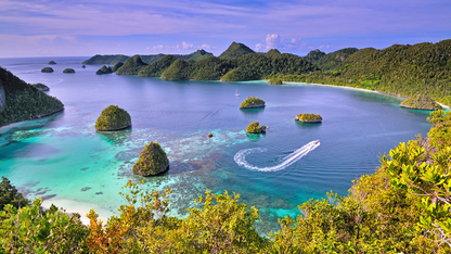 RAJA AMPAT DIVING & SNORKELING TOUR (6 NIGHTS & 7 DAYS )