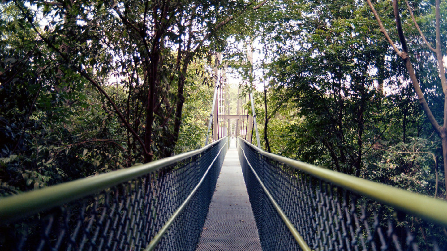SINGAPORE BUDGET BACKPACKING TOUR (6N/7D)