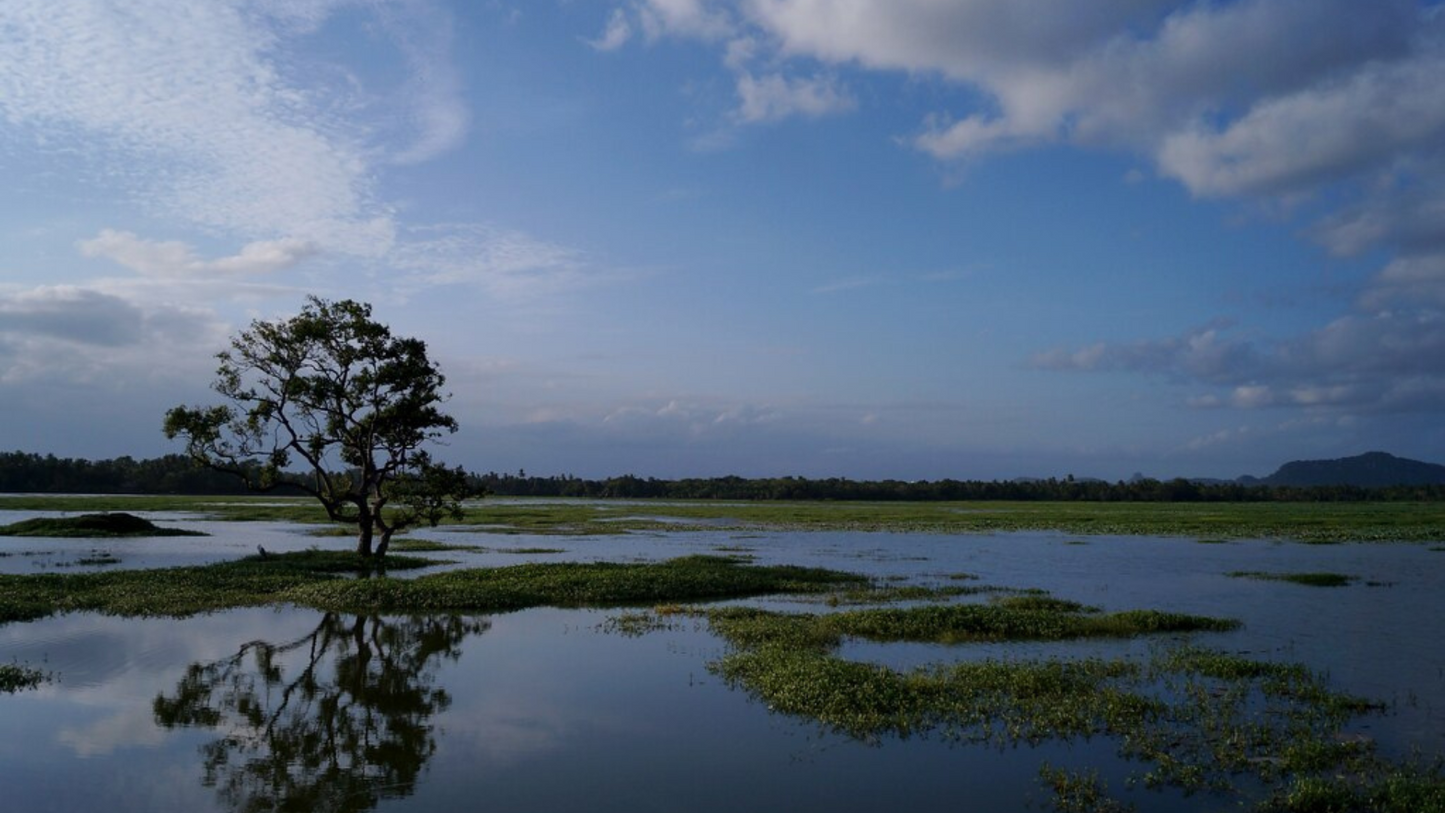 SRI LANKA WILDLIFE & NATIONAL PARK ADVENTURE (6N/7D)