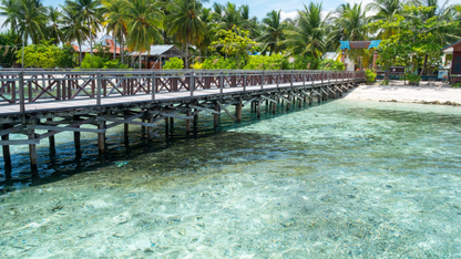 RAJA AMPAT DIVING & SNORKELING TOUR (6 NIGHTS & 7 DAYS )