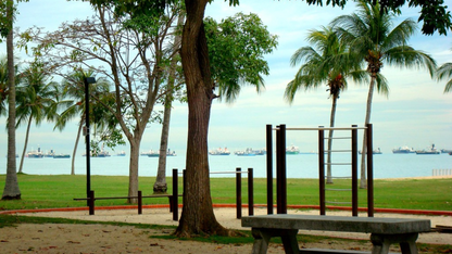 SINGAPORE BUDGET BACKPACKING TOUR (6N/7D)