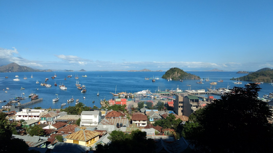 KOMODO ISLAND & FLORES ADVENTURE (5 NIGHTS & 6 DAYS )