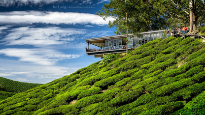CAMERON HIGHLANDS & IPOH HERITAGE TOUR (3 NIGHTS & 4 DAYS ) – A BLEND OF NATURE & CULTURE
